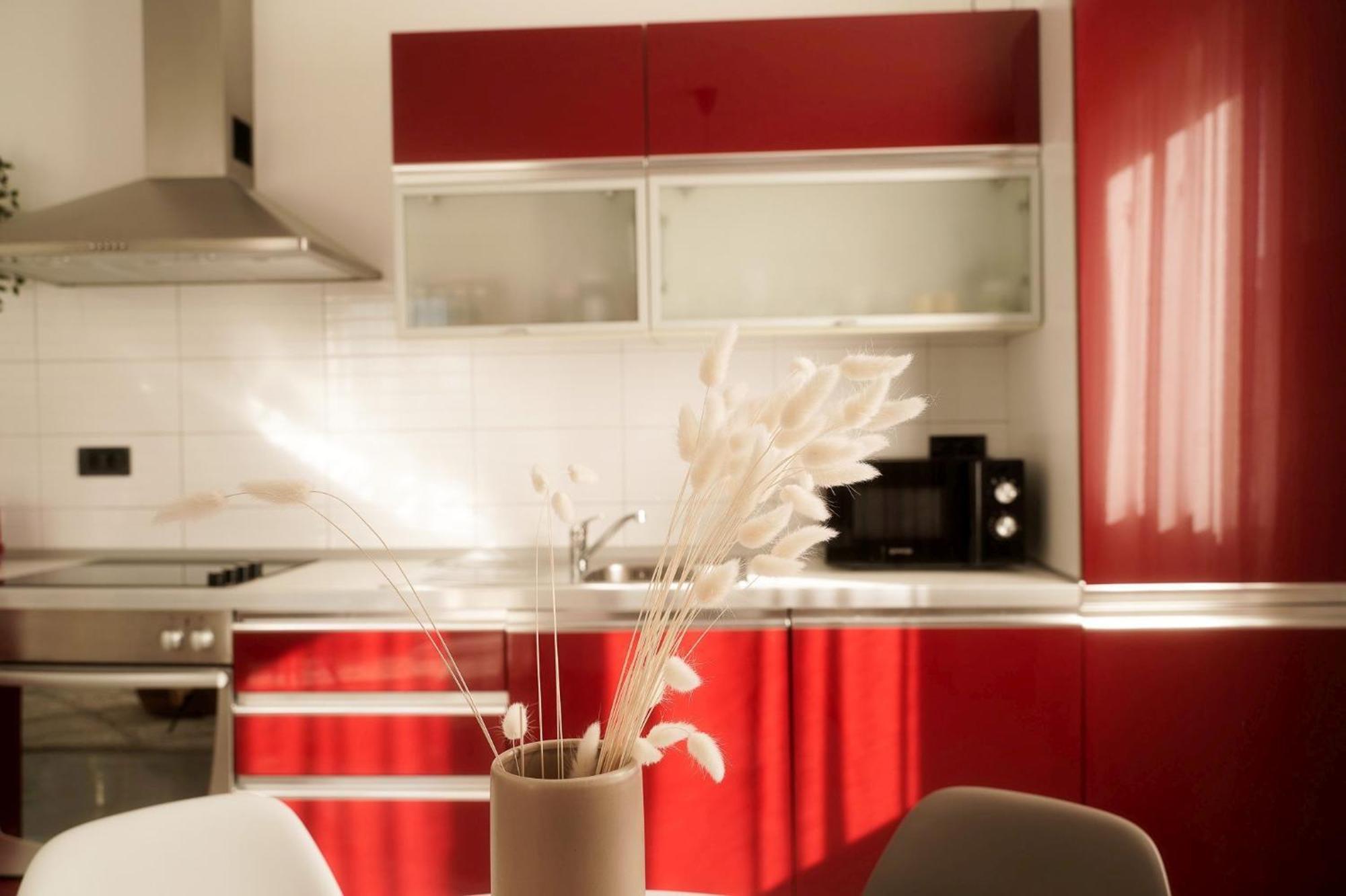 Dandelion Apartment Rovinj-Free Bikes 外观 照片