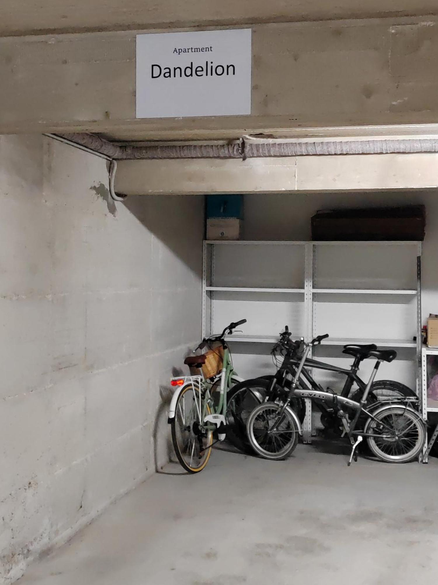 Dandelion Apartment Rovinj-Free Bikes 外观 照片